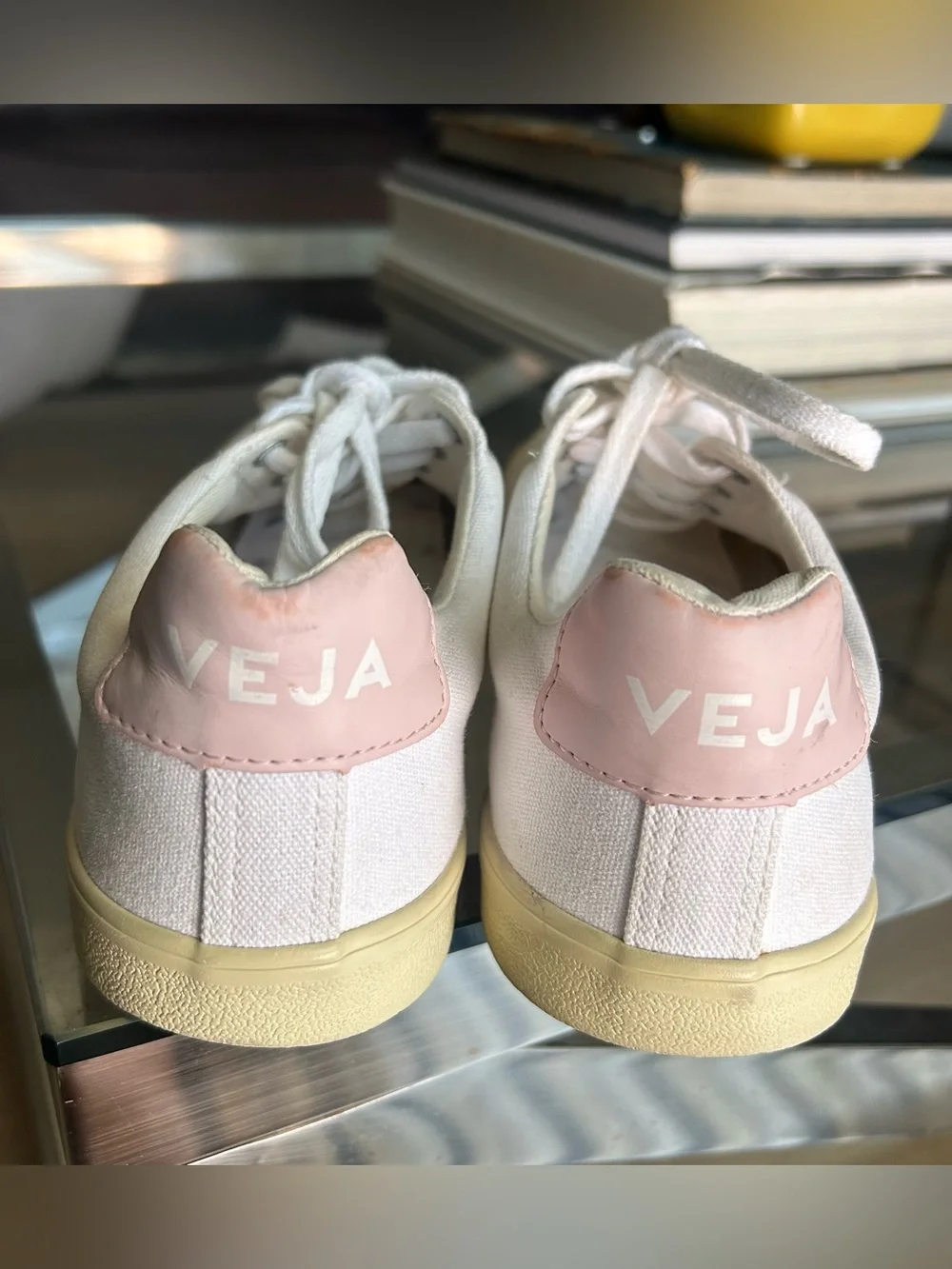 Veja Canvas Esplar SE Low Sneakers